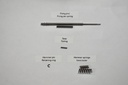 Titanium Firing Pin & Spring Set (Part #019 & 20) 